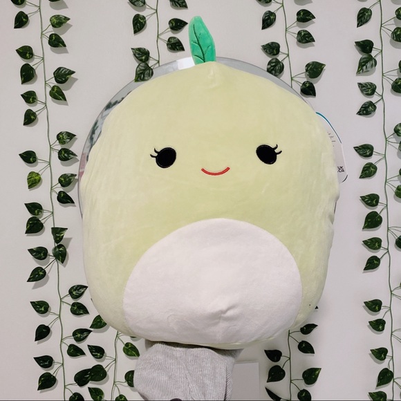 Squishmallows Other - SOLD